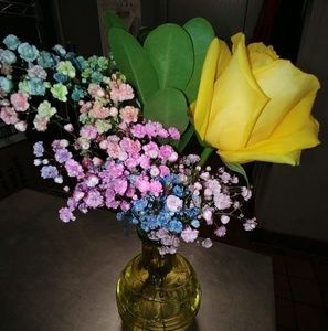 Meet your Posher, Nancy